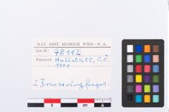 Foto von Bronzearmreif (NHMW-PRAE-078112)